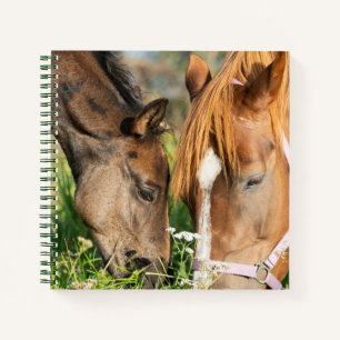 Cutest Baby Animals   Horse Colt Notebook