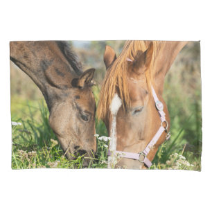 Cutest Baby Animals Horse Colt Pillow Case