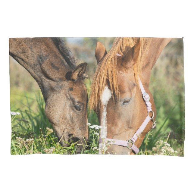 Cutest Baby Animals | Horse Colt Pillow Case (Front)