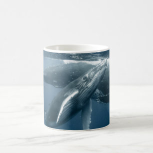 Cutest Baby Animals Humpback Whale Calf Coffee Mug