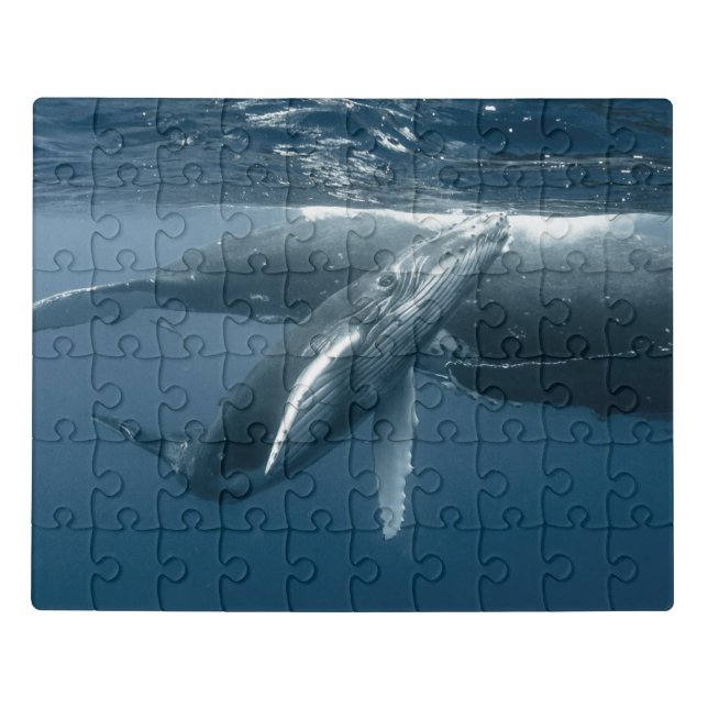 Cutest Baby Animals | Humpback Whale Calf Jigsaw Puzzle (Puzzle Horizontal)