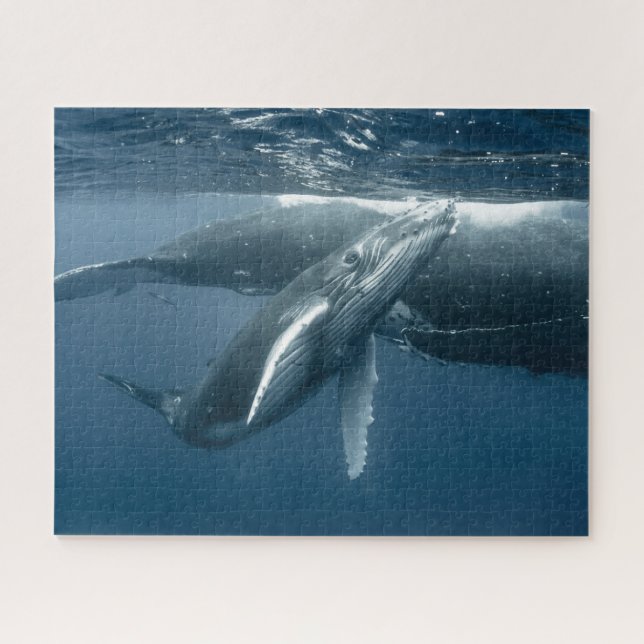 Cutest Baby Animals | Humpback Whale Calf Jigsaw Puzzle (Horizontal)