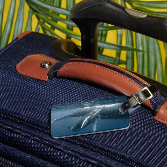 Cutest Baby Animals | Humpback Whale Calf Luggage Tag (Front Insitu 3)