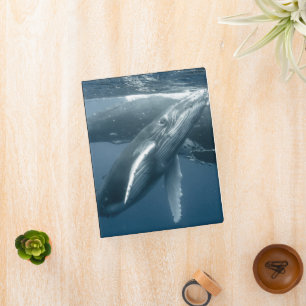 Cutest Baby Animals   Humpback Whale Calf Mini Binder