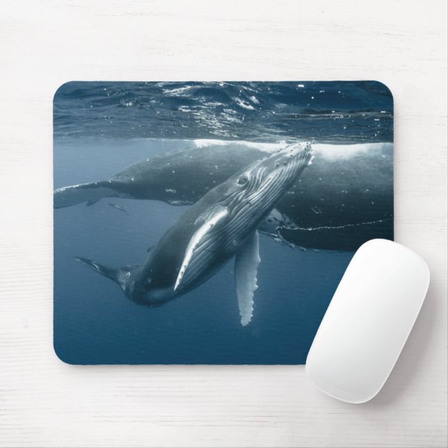 Cutest Baby Animals | Humpback Whale Calf Mouse Pad (With Mouse)