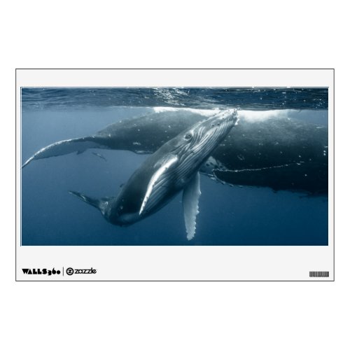 Cutest Baby Animals  Humpback Whale Calf Wall Decal