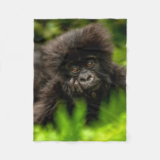 Cutest Baby Animals | Infant Mountain Gorilla Fleece Blanket (Front)