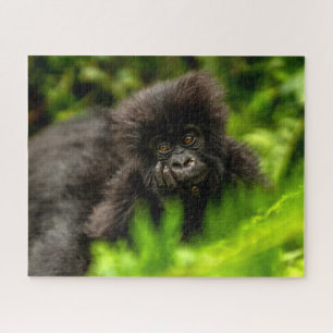 Cutest Baby Animals Infant Mountain Gorilla Jigsaw Puzzle