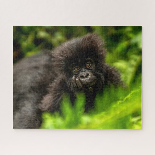 Cutest Baby Animals  Infant Mountain Gorilla Jigsaw Puzzle
