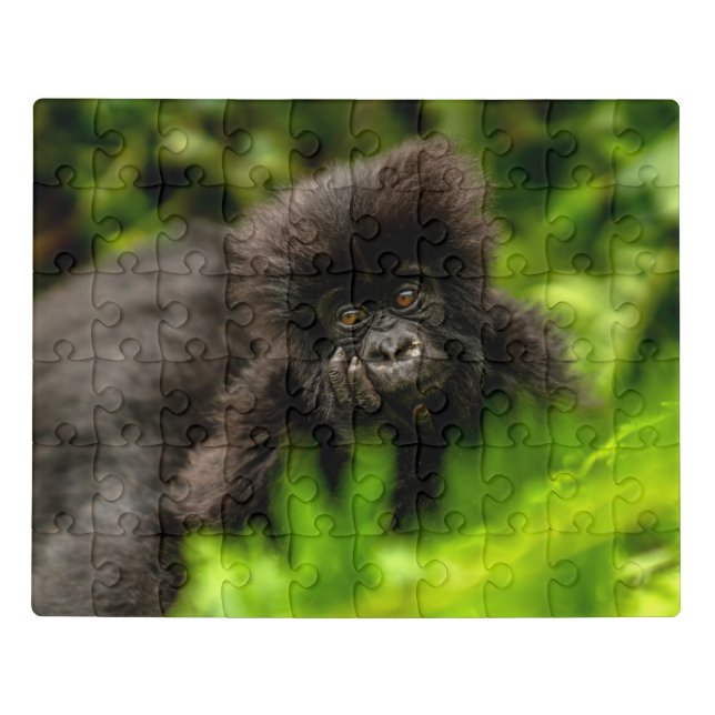 Cutest Baby Animals | Infant Mountain Gorilla Jigsaw Puzzle (Puzzle Horizontal)