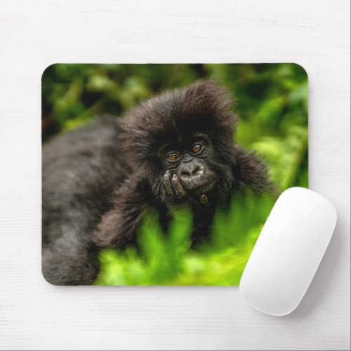 Cutest Baby Animals  Infant Mountain Gorilla Mouse Pad
