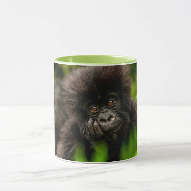 Cutest Baby Animals | Infant Mountain Gorilla Mug (Center)