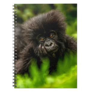 Cutest Baby Animals Infant Mountain Gorilla Notebook