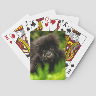 Cutest Baby Animals Infant Mountain Gorilla Poker Cards