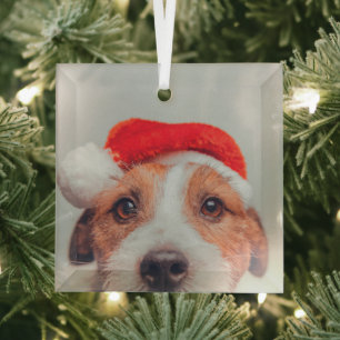 Cutest Baby Animals Jack Russell Dog Santa Claus Glass Ornament