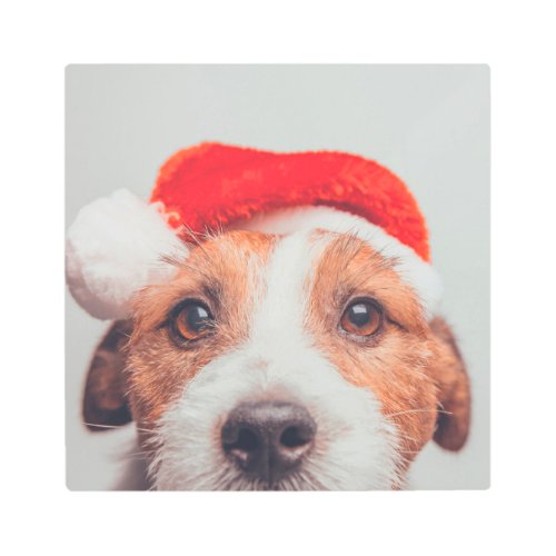 Cutest Baby Animals  Jack Russell Dog Santa Claus Metal Print
