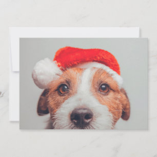 Cutest Baby Animals   Jack Russell Dog Santa Claus Thank You Card