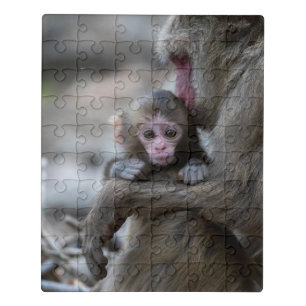 Cutest Baby Animals   Japanese Monkey & Baby Jigsaw Puzzle