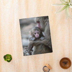 Cutest Baby Animals Japanese Monkey & Baby Mini Binder