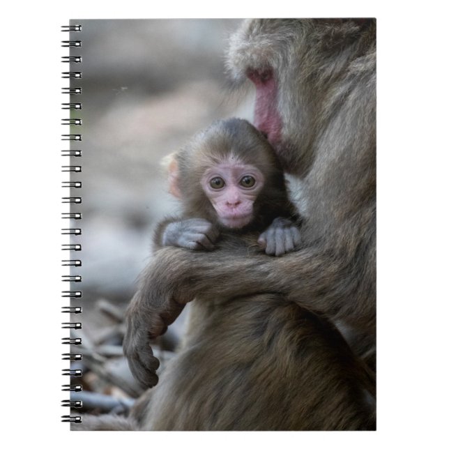 Cutest Baby Animals | Japanese Monkey & Baby Notebook (Front)