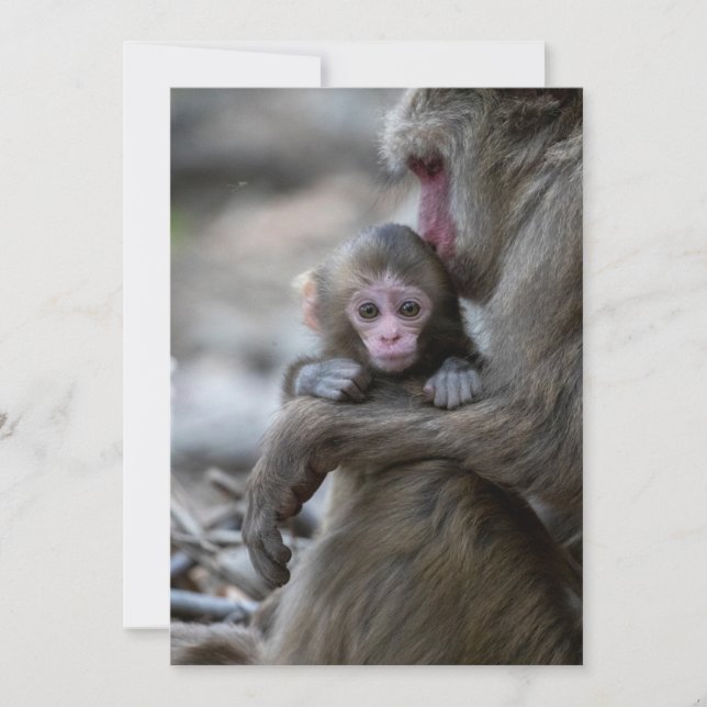 Cutest Baby Animals | Japanese Monkey & Baby Thank You Card (Front)