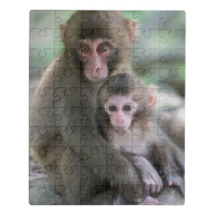 Cutest Baby Animals Japanese Monkeys Jigsaw Puzzle