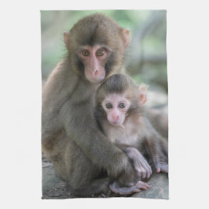 Cutest Baby Animals   Japanese Monkeys Kitchen Towel
