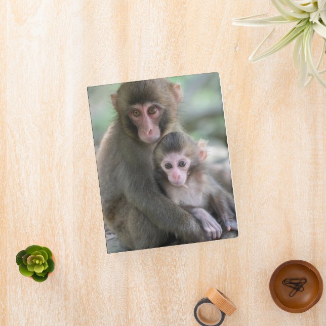 Cutest Baby Animals | Japanese Monkeys Mini Binder (InSitu)