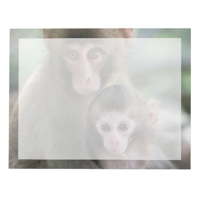 Cutest Baby Animals | Japanese Monkeys Notepad (Front)