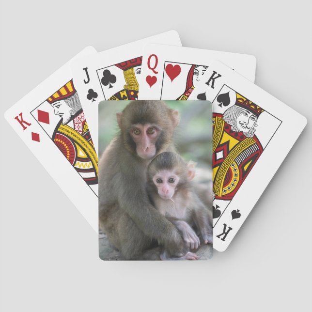 Cutest Baby Animals | Japanese Monkeys Poker Cards (Back)