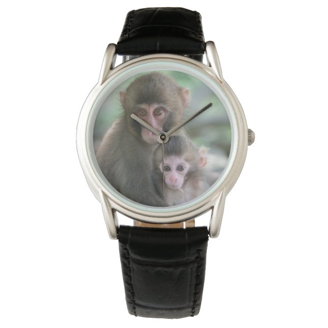 Cutest Baby Animals | Japanese Monkeys Watch (Front)