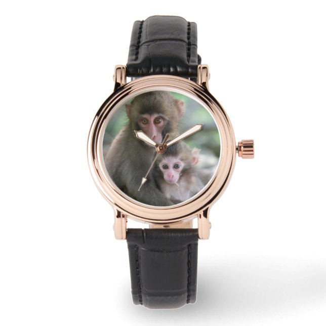 Cutest Baby Animals | Japanese Monkeys Watch (Front)