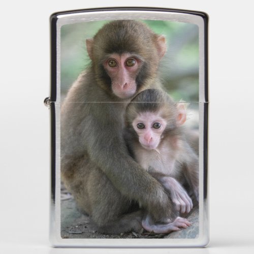 Cutest Baby Animals  Japanese Monkeys Zippo Lighter
