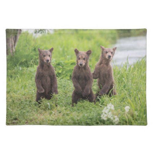 Cutest Baby Animals  Kamchatka Brown Bear Cubs Cloth Placemat