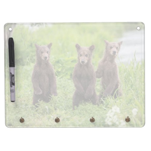 Cutest Baby Animals  Kamchatka Brown Bear Cubs Dry Erase Board With Keychain Holder