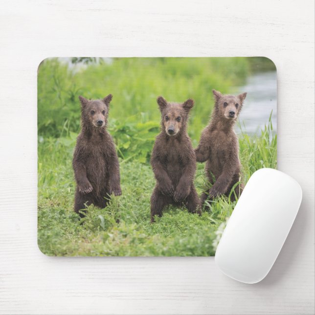 Cutest Baby Animals | Kamchatka Brown Bear Cubs Mouse Pad (With Mouse)