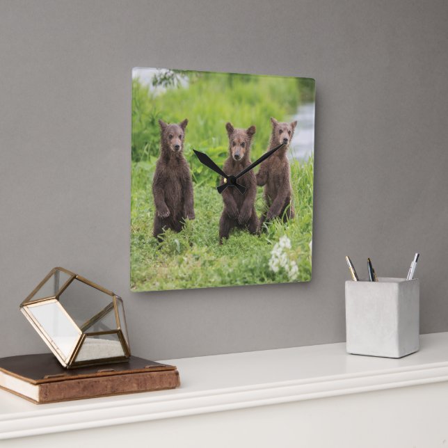 Cutest Baby Animals | Kamchatka Brown Bear Cubs Square Wall Clock (Office)