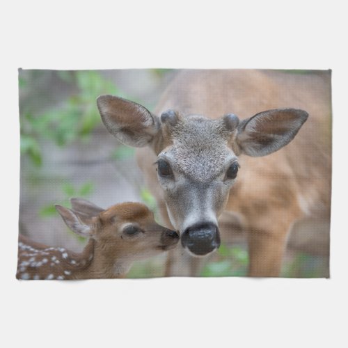 Cutest Baby Animals  Key Deer Stag  Fawn Kitchen Towel