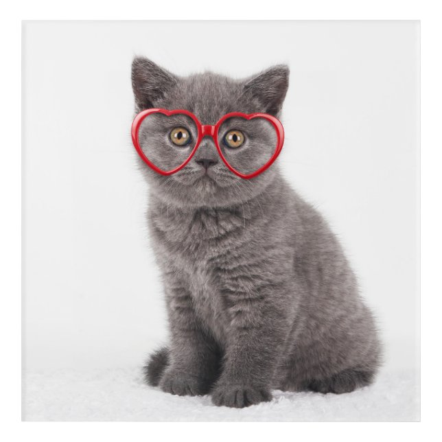 Cutest Baby Animals | Kitten Heart Glasses Acrylic Print (Front)
