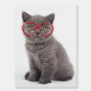 Cutest Baby Animals Kitten Heart Glasses Foam Board