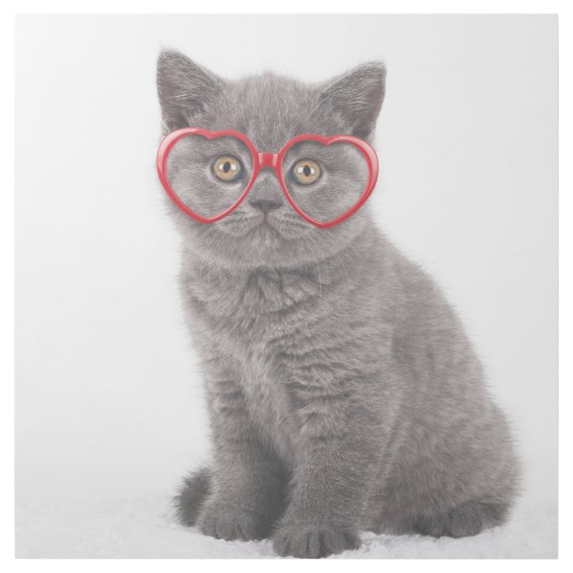 Cutest Baby Animals | Kitten Heart Glasses Gallery Wrap (Front)