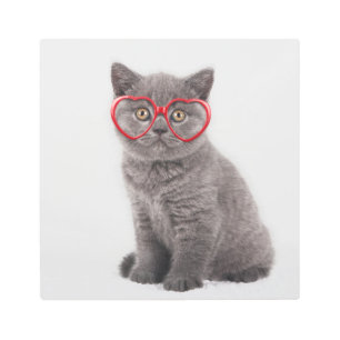 Cutest Baby Animals Kitten Heart Glasses Metal Print