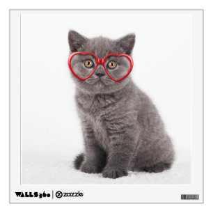 Cutest Baby Animals   Kitten Heart Glasses Wall Decal