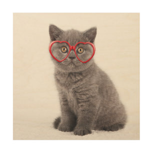 Cutest Baby Animals Kitten Heart Glasses Wood Wall Art