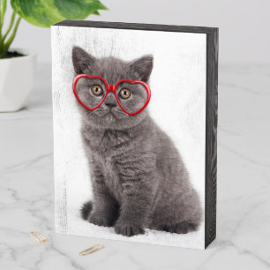 Cutest Baby Animals Kitten Heart Glasses Wooden Box Sign