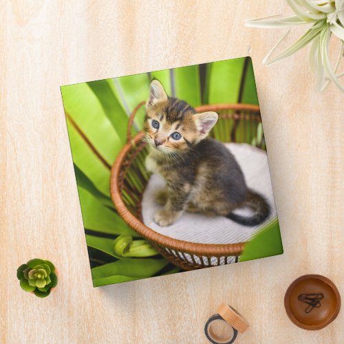 Cutest Baby Animals  Kitten in Basket 3 Ring Binder