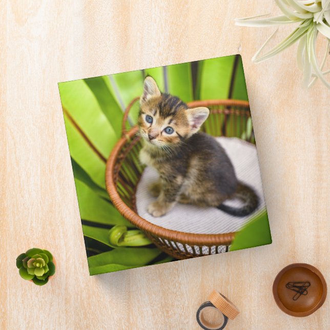 Cutest Baby Animals | Kitten in Basket 3 Ring Binder (In Situ)