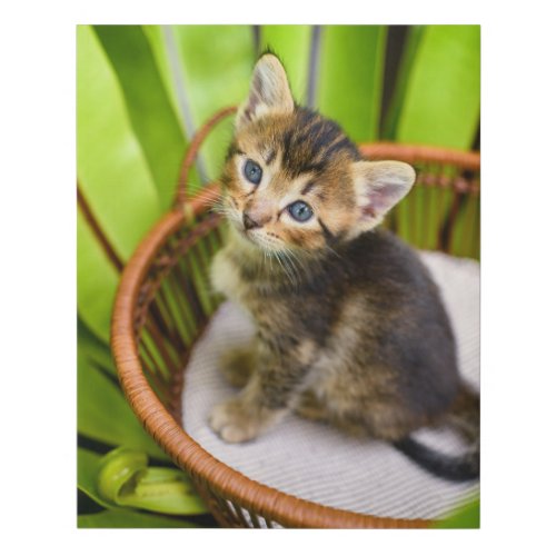 Cutest Baby Animals  Kitten in Basket Faux Canvas Print