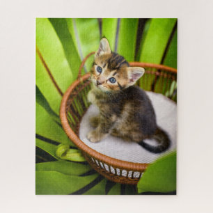 Cutest Baby Animals Kitten in Basket Jigsaw Puzzle