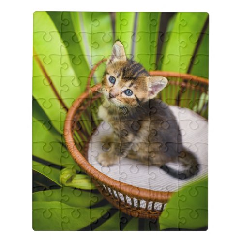 Cutest Baby Animals  Kitten in Basket Jigsaw Puzzle